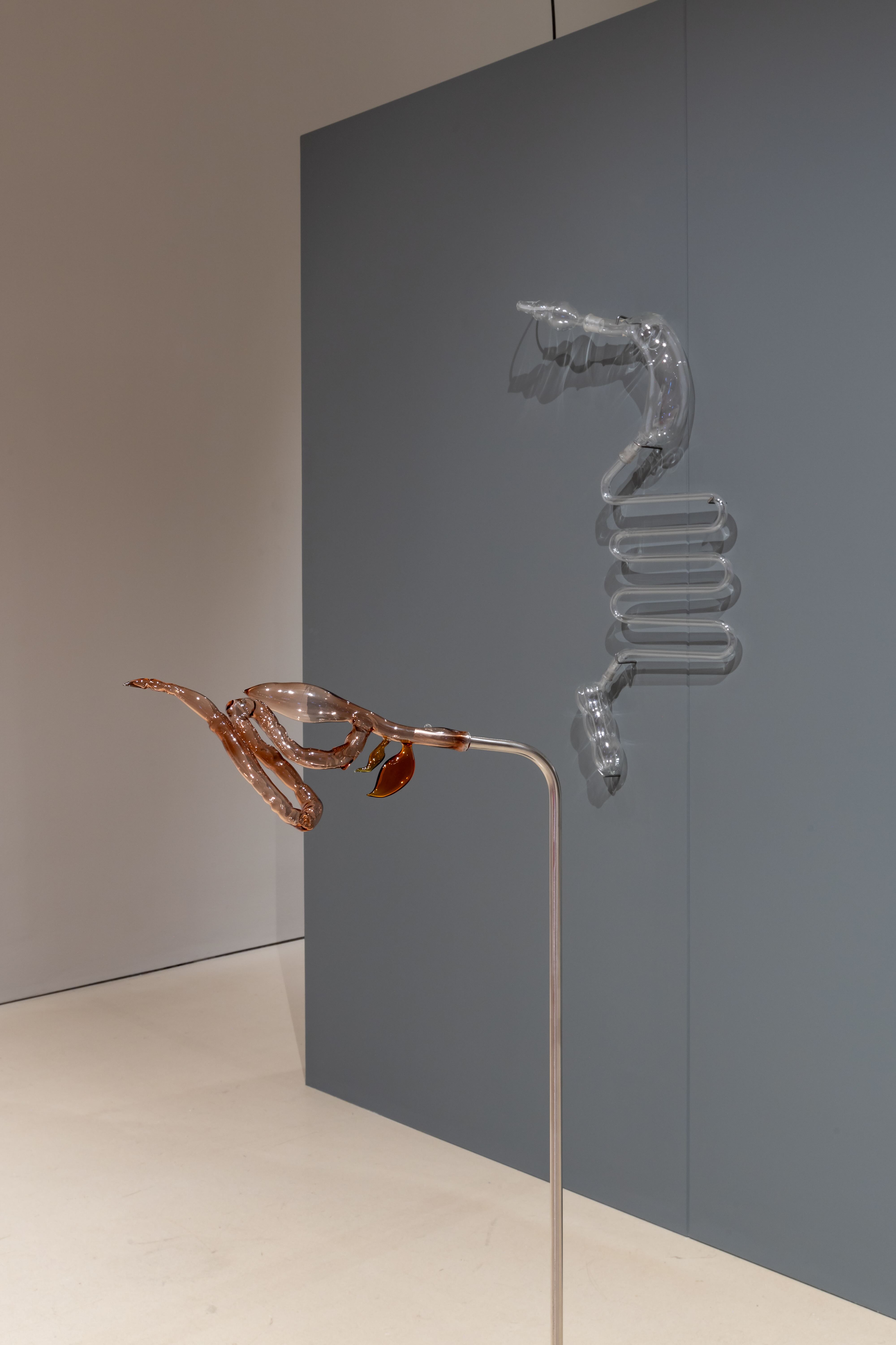 Description of image 8
